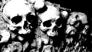 Diseno sin titulo 20